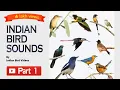 Lagu Indian Birds Sounds  - Part 1 @IndianBirdVideos  #indian_bird_sounds #bird_calls