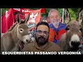 Download Lagu LULA O ENCANTADOR DE JUMENTOS!!!