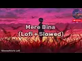 Mere Bina 🎶 (Lofi Flip Video) - Crook |Emraan, Neha Sharma |Nikhil D'Souza|Pritam|Mukesh Bhatt | KSW
