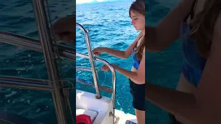 Sailing day Madagascar Yacht Life #sailingfamily #shortsyoutube #madagascar