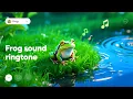 Download Lagu Cool ringtone for phone call - Nokia bullfrog ringtone
