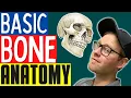 Bone Anatomy For Personal Trainers And Massage Therapists Learn Skeletal Anatomy Basic Edition