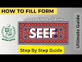 How to Fill SEEF Sindh Education Endowment Fund Scholarship Form 2024 Explained in an Easy way