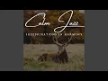 Mellow Java Jazz Moments