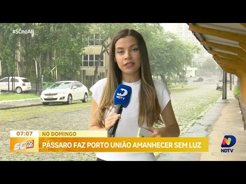 Curioso incidente: pássaro deixa Porto União sem energia elétrica