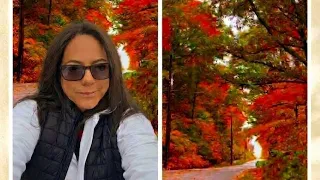 La magia del otoño Canadiense! Un hermoso paseo de otoño