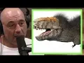 Joe Rogan Did Dinosaurs Have Feathers