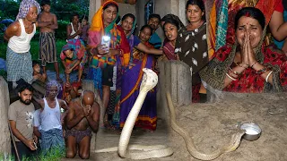 Ghar Mein Cobra Ka Khauf! 😨 Dar Se Ghar Chhodkar Bhaage Log 🐍