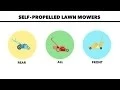 Do You Need an AWD Mower Consumer Reports