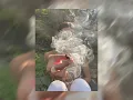 Slow down 12” version - sped up