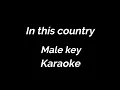 Download Lagu Karaoke In this country Robin Zander Male key