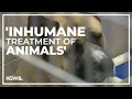 Multnomah County Animal Services accused of systemic animal neglect retaliation toward employees