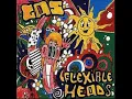 GAS -  flexible heads (1994) full album - soa records