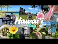 WE DIDN T KNOW A HURRICANE WAS COMING KAUA I VLOG