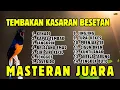Download Lagu 🔴 INI YANG MUDAH MASUK ‼️‼️MASTERAN MURAI BATU GACOR AMPUH