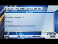 Find your furry friend at El Paso Animal Services Clear the Shelters event