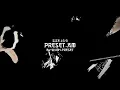 Download Lagu WYMPRST🎟 | DJ TELA PIPA PAT TE PAT SOUND GHIZLAN🎶 | SIZE 16:9😸