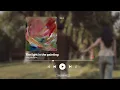 Lizzy McAlpine - The light in the painting (Lyrics)