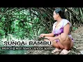 Download Lagu Mancing ikan air tawar di SUNGAI HUTAN BAMBU\