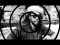 Peter Tosh - Johnny B. Goode (Remastered Audio) HQ