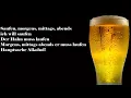 Saufen, morgens, mittags, abends, Ingo ohne Flamingo-Lyrics-Text | Robin Michels