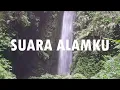 Download Lagu Suara Alam   Tropical Forest