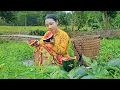 Download Lagu Harvesting Watermelons for Market, Then a Surprise Visit to Mother – Life Alone in Forest