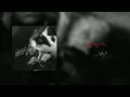 Wegz - Nossein  |  ويجز - نصين  Prod. Sintax