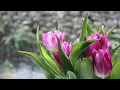 Download Lagu Музыка Сергей Чекалин! Потрясающая Музыка для души, Согревающая сердце и за душу берет...релакс