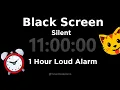 Black Screen 11 Hour Timer Silent 1 Hour Loud Alarm Sleep and Relaxation