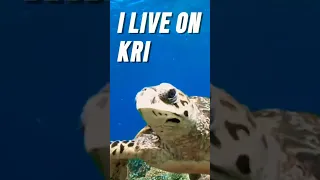 I LIVE ON KRI