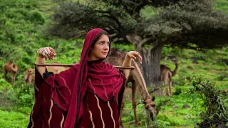 يا صانع اصنعلي طيارة أغنية من التراث العماني  يا صانع اصنعلي طيارة أغنية من التراث العماني