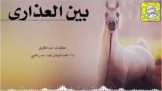 شيلة بين العذارى رقمها ماهو اثنين كلمات عيده المطيري اداء محمد الهوشان شيلة ام العريس 0546684704 