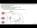 Lecture 2b Innate Immune Receptors and Signaling
