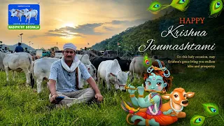 Krishnashtami Significance & Gauseva  | Explained By Dr. P . Krishnamraju | Worlds Shortest Cows