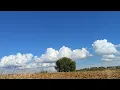 31 Minutes of Pure Serenity: Real Nature Sounds & Majestic Clouds | Relaxation