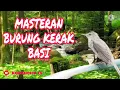 Download Lagu MASTERAN BURUNG KERAK BASI JERNIH GEMERICIK AIR