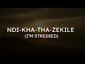 I wrote a song - Ndikhathazekile lyrics by @Noviyellow2