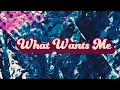 Download Lagu What wants me - Moonlight Scorpio (official lyric video)