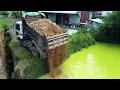 Download Lagu Bulldozer Power Start remove small pond with Dump Truck