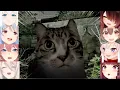 Download Lagu Hololive Girls Reaction To Cat Jumpscare *cute* (Japan Stigmatized Property)