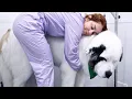 The most handsome dog on the planet Giant BEAR dog