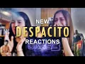 Download Lagu UKGS 3'teki Yeni Despacito Tanıtım Anı Tepkileri