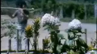 rhoma irama primadona desa