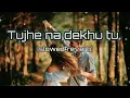 Download Lagu tujhe na dekhu to chain Song | lofi song | slowed and reverb song |