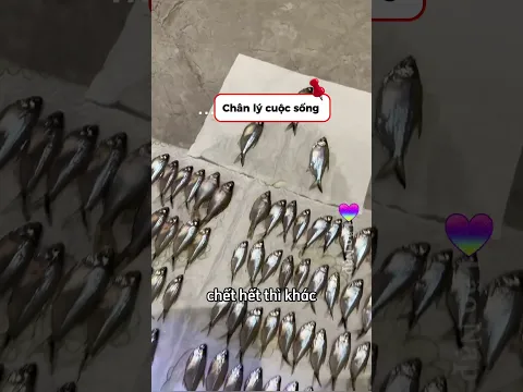 Chân lý cuộc sống