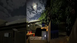 مشاريه الغلا قشرى المبدع يوسف ذاير 2024 