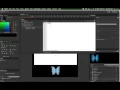 Flash Interactivity