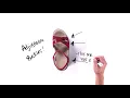 SAS Women s Sandal - Duo
