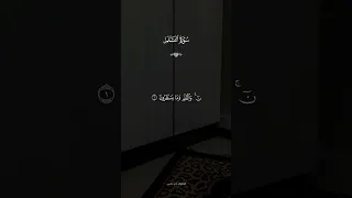 سورة القلم بصوت القارئ آدم عاشور 